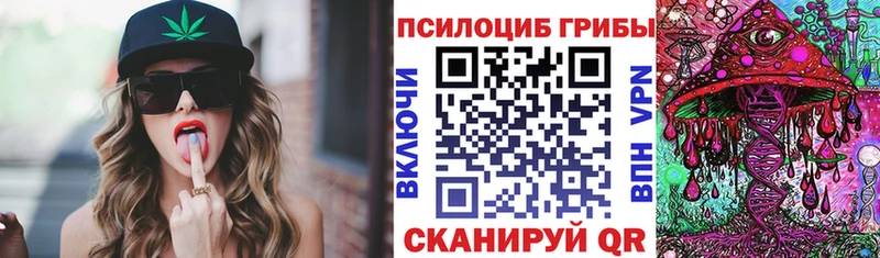 Псилоцибиновые грибы Cubensis  Боровск 
